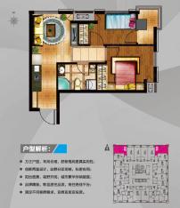 芜湖万达中心精装SOHO D户型两室一厅一卫户型图