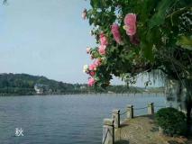 华团南湖花园社区实景